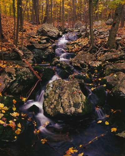 Forest Cascade 2, Sparta Mountains, Sussex County, NJ (MF).jpg Forest Cascade 2, Sparta Mountains, Sussex County, NJ (MF).jpg